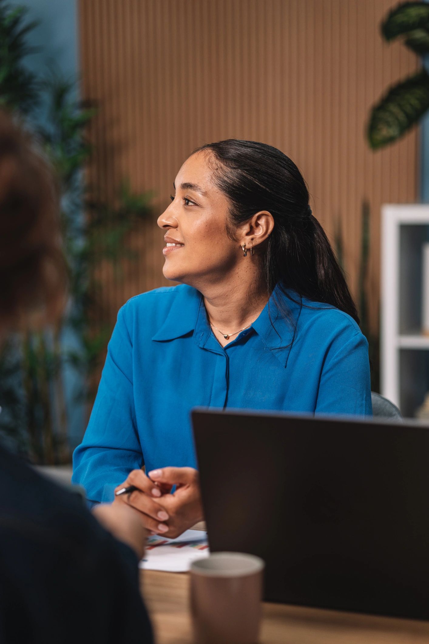 Professional consultant in a meeting